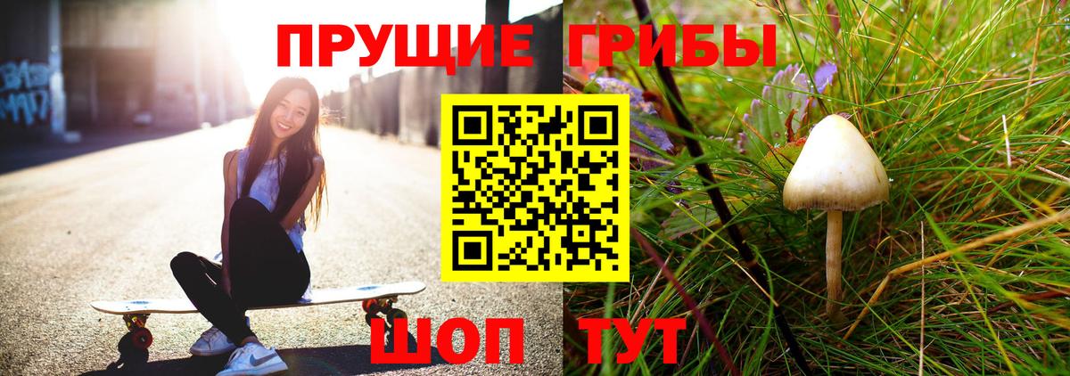 Галлюциногенные грибы Magic Shrooms  Галлюциногенные грибы ЛСД  Вход с VPN  даркнет сайт  Димитровград 
